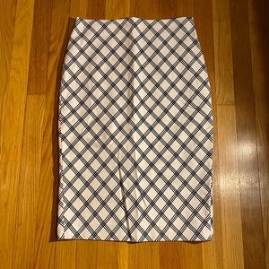 Express Pencil Skirt